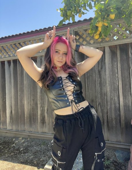 BassKitten best star gallery