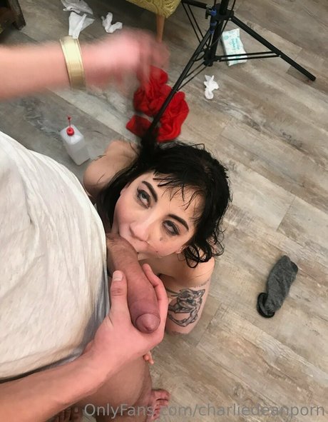 charliedeanporn free model archive