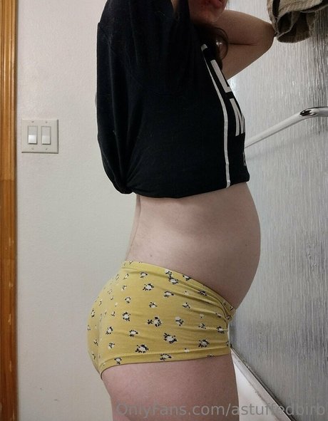 astuffedbirb hd star pictures