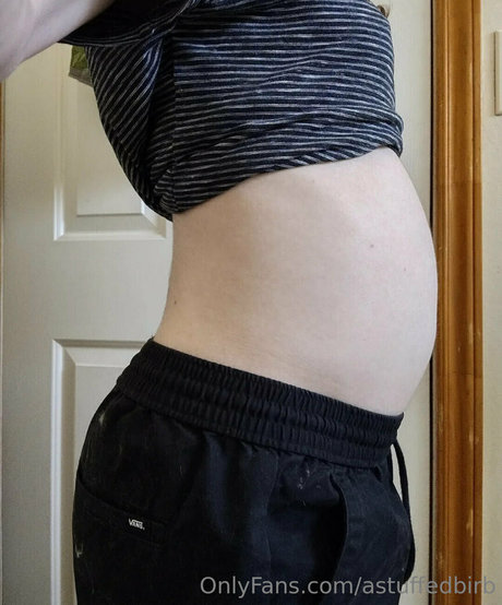 astuffedbirb star top img