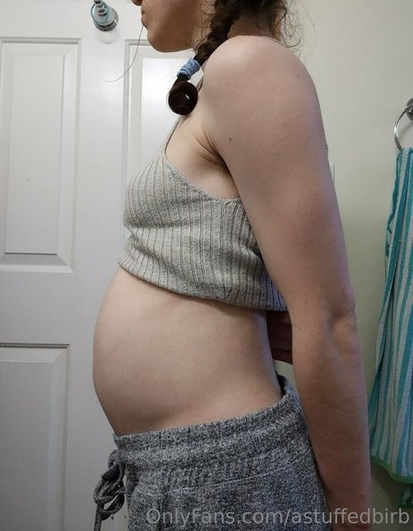 astuffedbirb hd star images