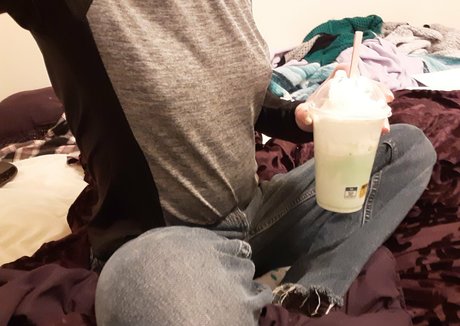 astuffedbirb hd model picture