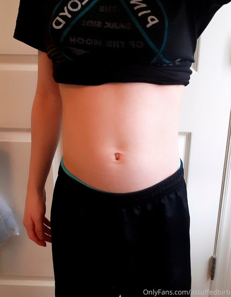 astuffedbirb perfect model galleries