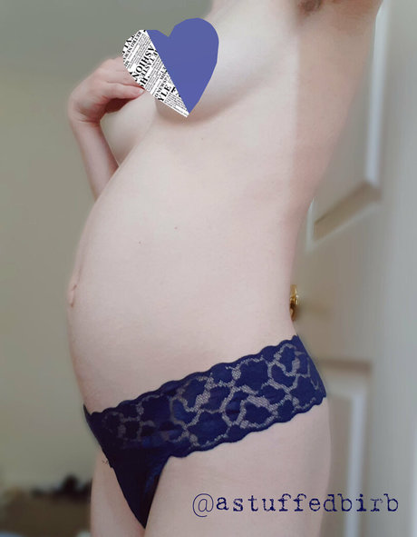 astuffedbirb pornographic actress picture