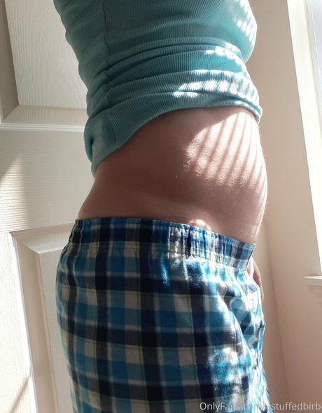 astuffedbirb sexy pornstar galleries