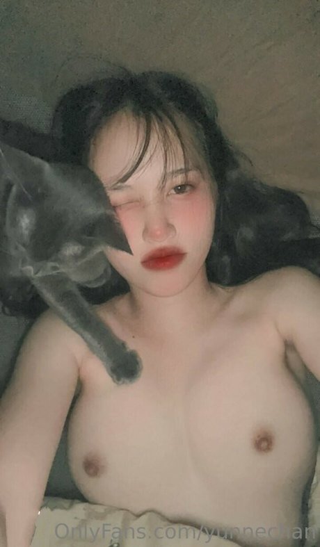 yunnechan perfect model pic