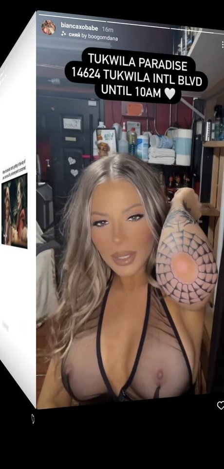 cowgirl babyy best pornstar picture