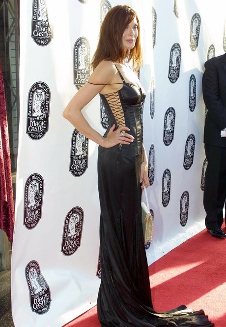 Teri Hatcher model pornographic images