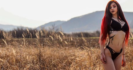 oanioana nice star archive