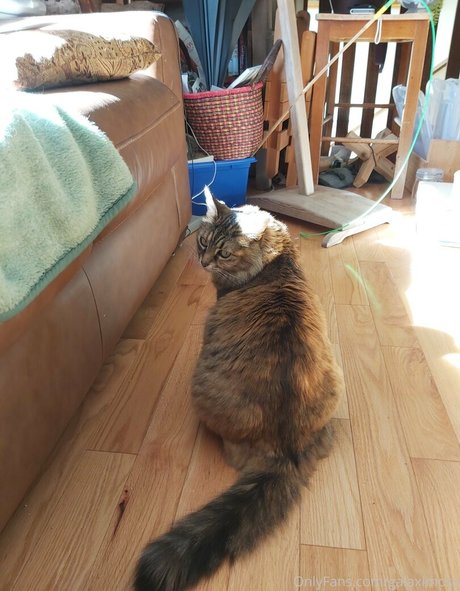 sex scene onlyfans art xxx gallery