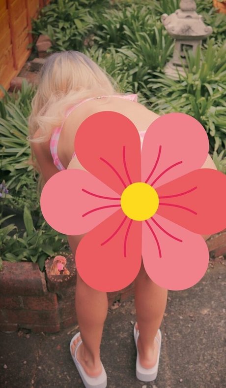 mariabonitaoficial art star images