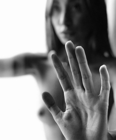 Daniworld star perfect photos