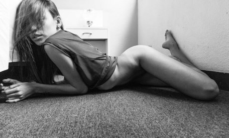 Daniworld star top picture