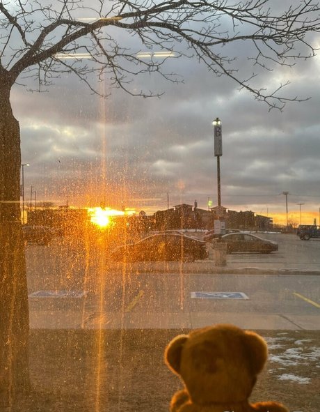 Chronixx tay pornographic actress pictures