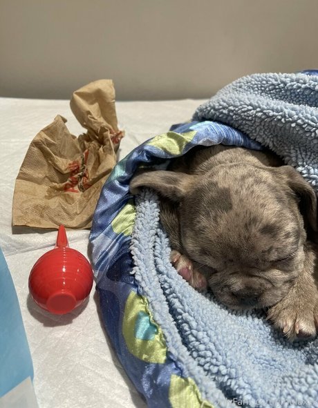 Jenelle Mathew pornstar nudes photos