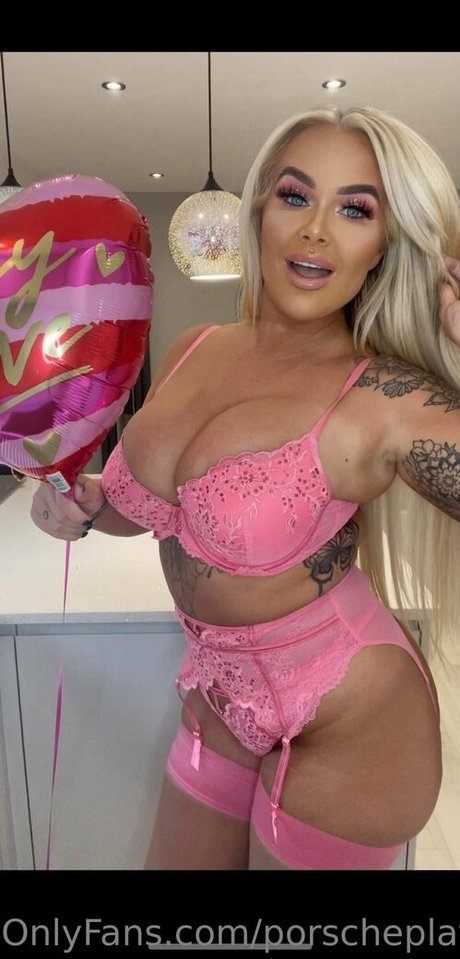 Porscheplatinum model img