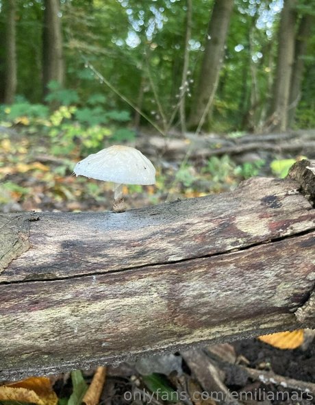 sucking cock onlyfans hot archive