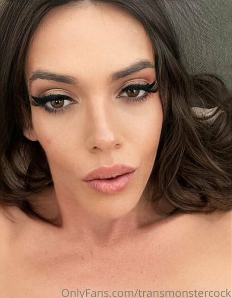 transmonstercock star hd pic