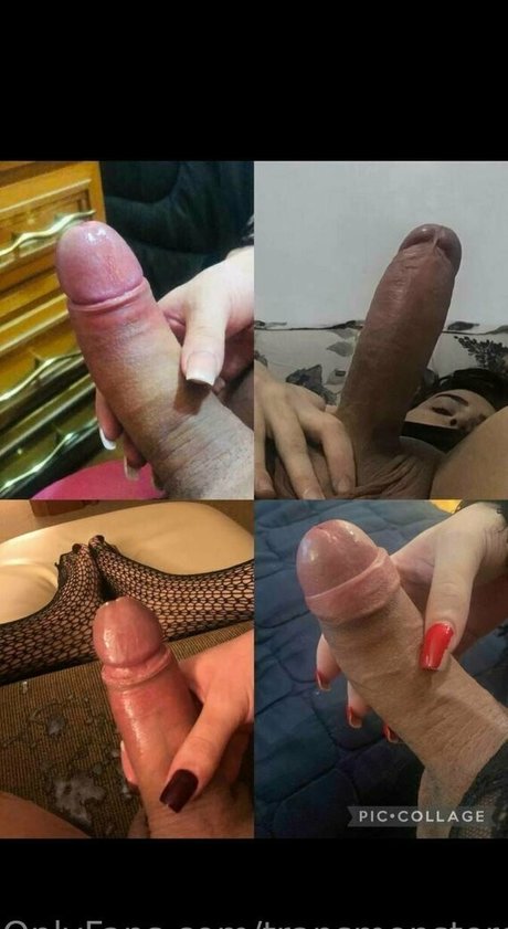 transmonstercock free star pic