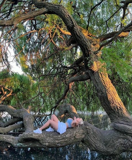 asian dildo onlyfans perfect image