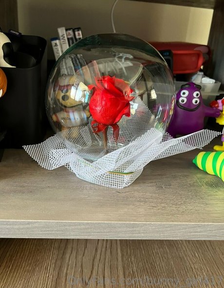 bunny girl417 star nice archive