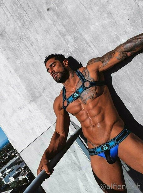 alfienorthfree pretty star images