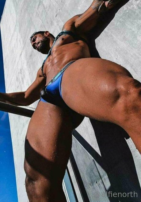 alfienorthfree exclusive pornstar pics