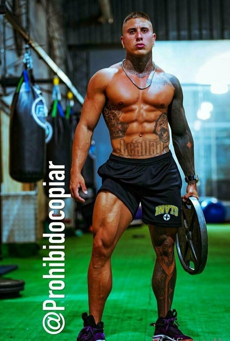 alfienorthfree high quality pornstar img