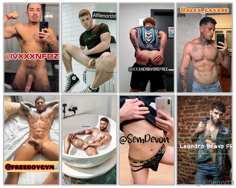 alfienorthfree perfect model photo