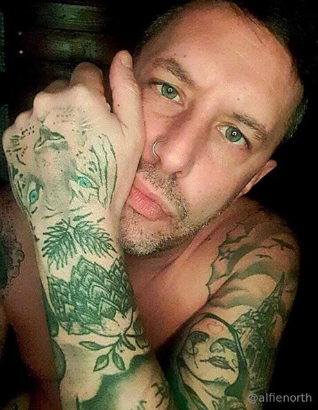 alfienorthfree adult star photo