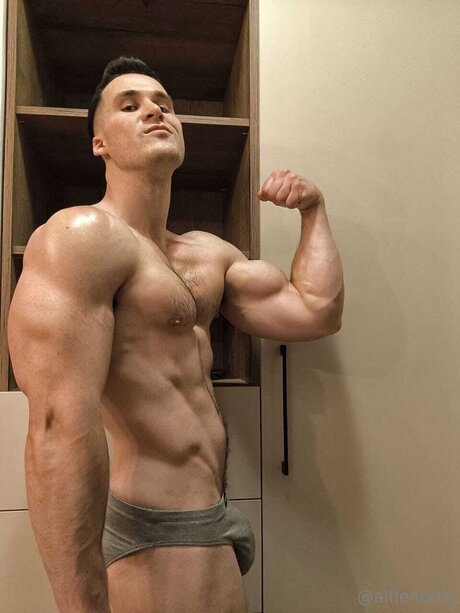 alfienorthfree Profile Photo