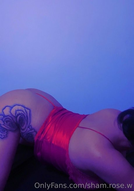 sham rose w best star images