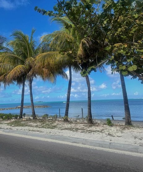 Charlotte Bregman erotic actress photo