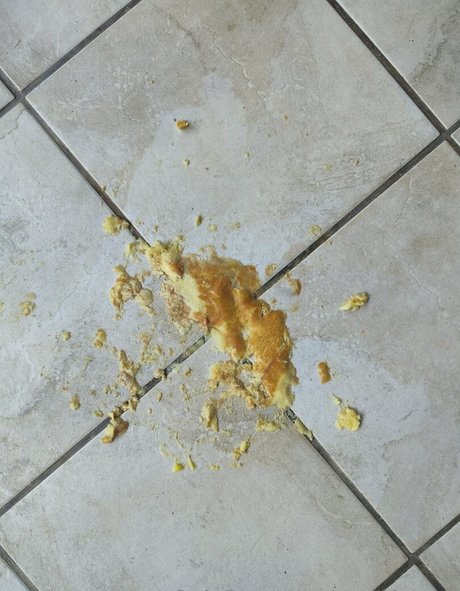 atomictoez pornstar beautiful photos