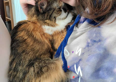 blowbang onlyfans exclusive photo