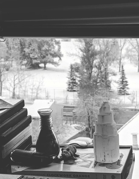 snoot star nice galleries