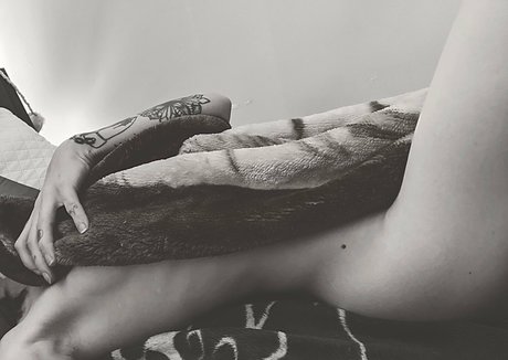 snoot art star gallery