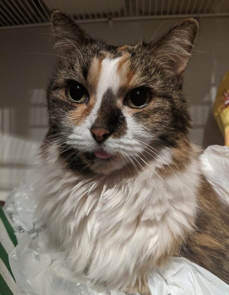 mature big tits onlyfans free porn pics