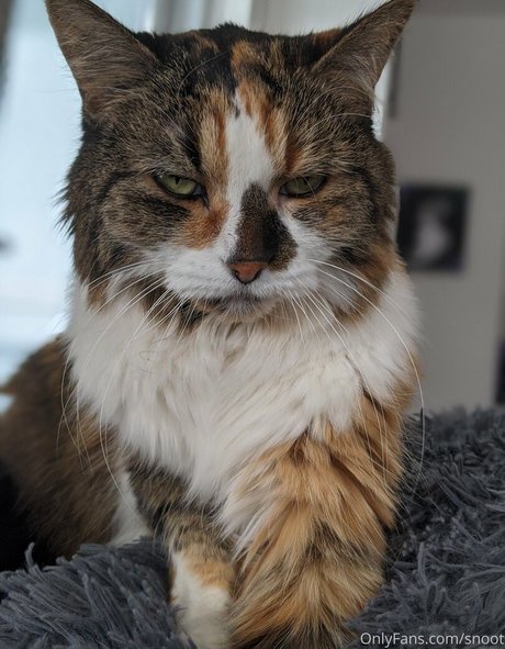 indian big tits onlyfans free porn img