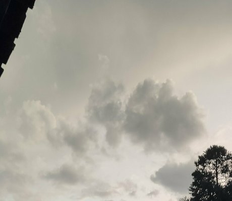 mayllie sexy star img