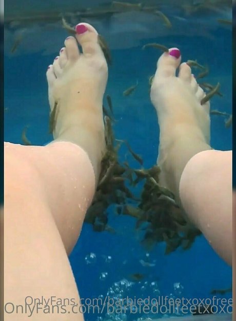 barbiedollfeetxoxofree adult star image