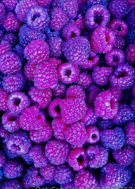 triple y pornstar art img