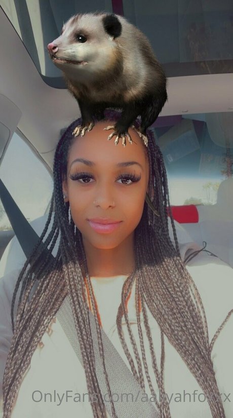 aaliyahfoxxx best star images