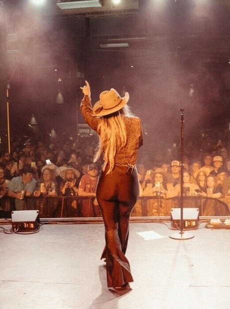 Lainey Wilson art star img