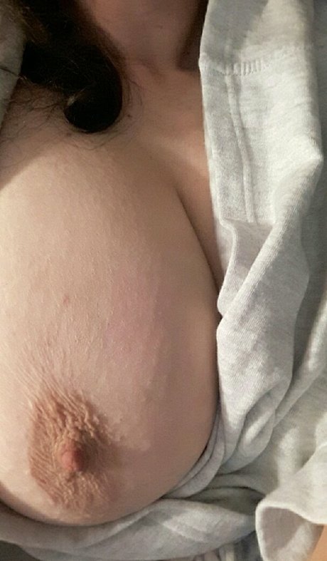 Piella Bakewell model top image