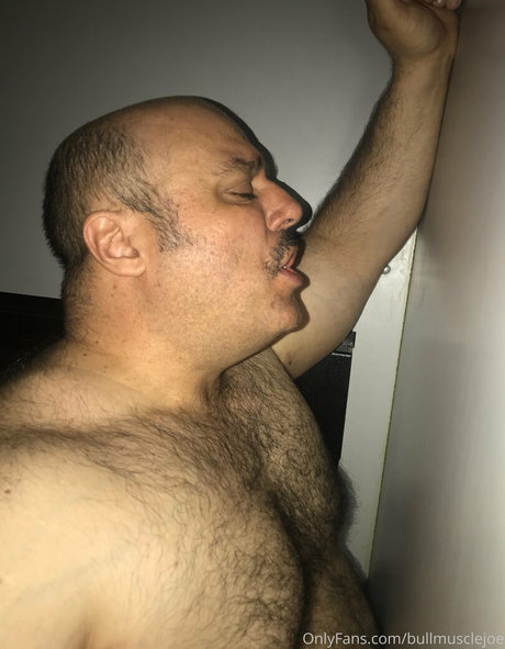 bullmusclejoe high quality pornstar gallery