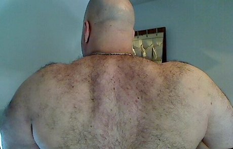 bullmusclejoe star hot galleries