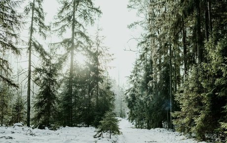 rumrtv hot pornstar pic