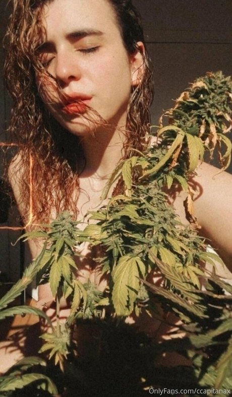 ccapitanax xxx model picture