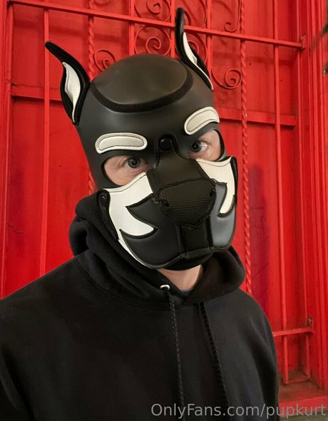 pupkurt pornographic actress photo